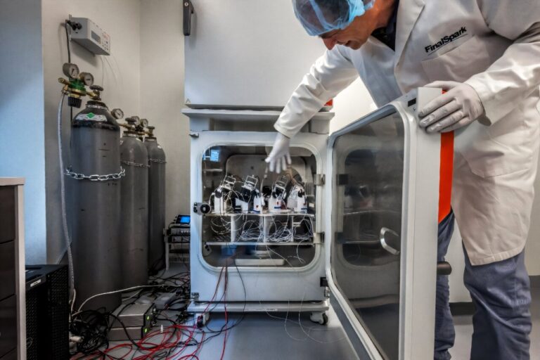 Des scientifiques mettent au point des ordinateurs alimentés par des mini-cerveaux humains