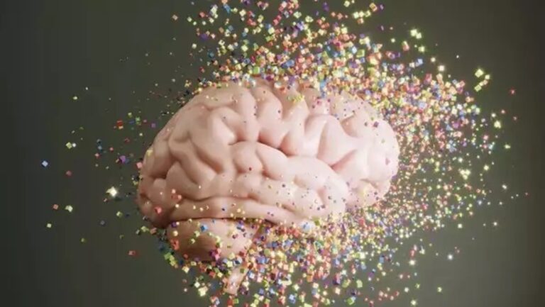 Conséquences choquantes des microplastiques sur le cerveau dévoilées par des scientifiques