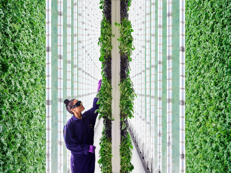 Hackers augmentent les rendements agricoles de 50 % grâce à une modification de l’ARN